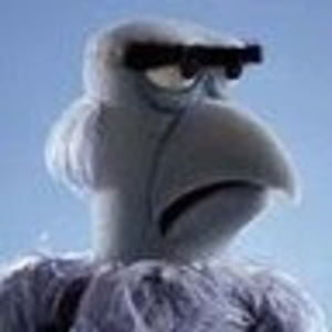 Meet your Posher, Matt